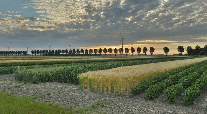agriculture.jpg