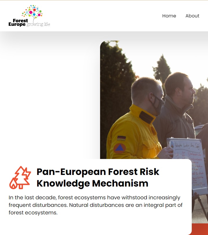 ForestEuropeRisk.jpg
