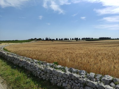 Protecting outdoor agricultural workers from extreme heat