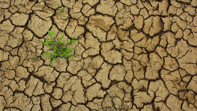 Subsidised drought insurance for farmers