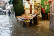 European Floods Portal