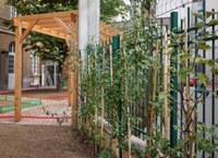 Paris Oasis Schoolyard Programme,