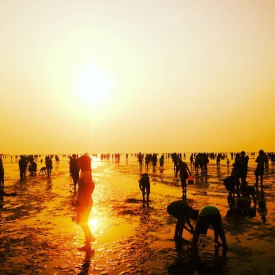 The impacts of heat on health: surveillance and preparedness in Europe