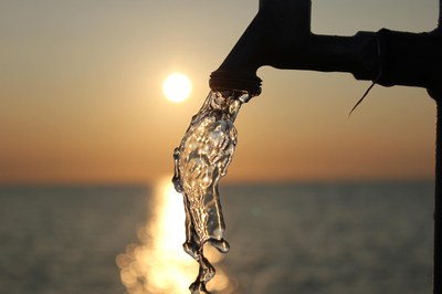 Water-borne diseases