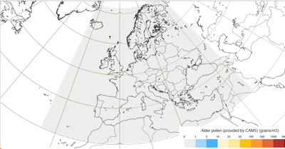 Four-day forecast of ground-level pollen